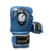 HuaLaan Boxing Gloves Color R5 Blu