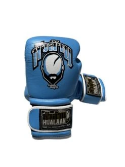 HuaLaan Boxing Gloves Color R5 Blu