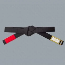 Scramble Tanren V4 BJJ Belt Nero